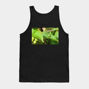 Stink Bug Green No.1 Tank Top